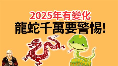 113年屬龍運勢|2025年谷底大翻身！5生肖「運勢旺旺來」…事業、財富一把罩